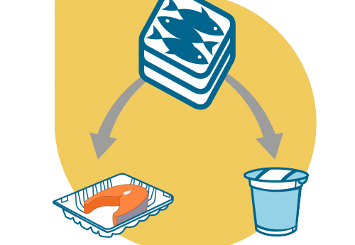 European Circular Economy Stakeholder Platform